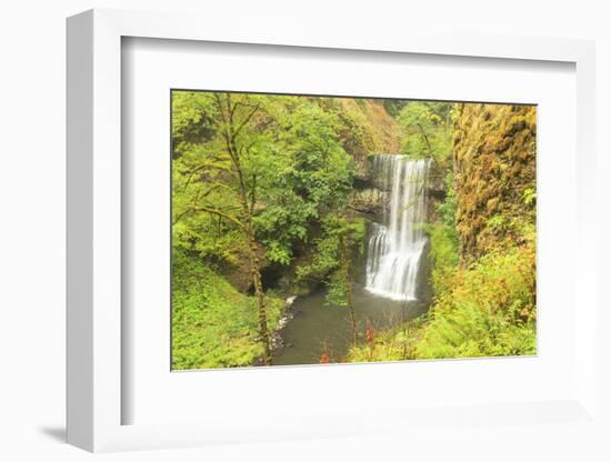 Trail of Ten Falls, Silver Falls State Park, near Silverton, Oregon-Stuart Westmorland-Framed Photographic Print