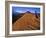 Trail Run Snow Canyon Near St. George, Utah, USA-Chuck Haney-Framed Photographic Print