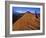 Trail Run Snow Canyon Near St. George, Utah, USA-Chuck Haney-Framed Photographic Print