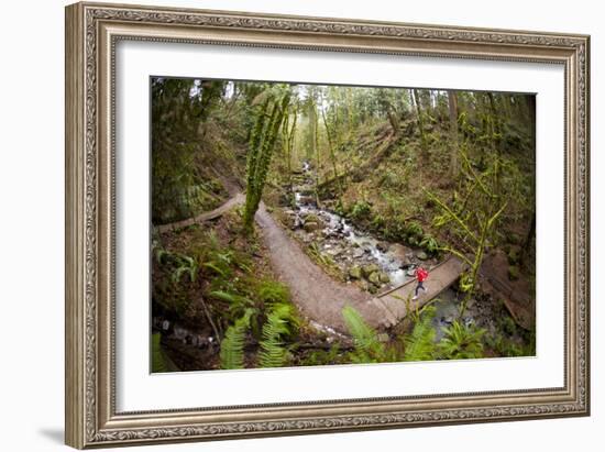 Trail Running On The Wildwood Trail In Forest Park. Portland, Oregon-Justin Bailie-Framed Photographic Print