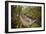 Trail Running On The Wildwood Trail In Forest Park. Portland, Oregon-Justin Bailie-Framed Photographic Print