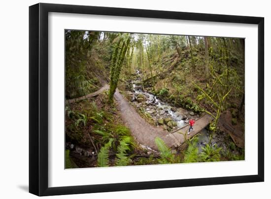 Trail Running On The Wildwood Trail In Forest Park. Portland, Oregon-Justin Bailie-Framed Photographic Print