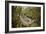 Trail Running On The Wildwood Trail In Forest Park. Portland, Oregon-Justin Bailie-Framed Photographic Print