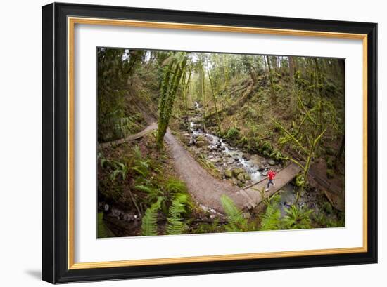 Trail Running On The Wildwood Trail In Forest Park. Portland, Oregon-Justin Bailie-Framed Photographic Print