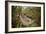 Trail Running On The Wildwood Trail In Forest Park. Portland, Oregon-Justin Bailie-Framed Photographic Print