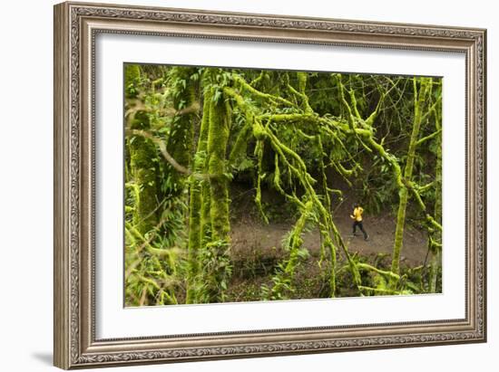 Trail Running On The Wildwood Trail In Forest Park. Portland, Oregon-Justin Bailie-Framed Photographic Print