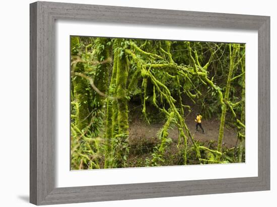 Trail Running On The Wildwood Trail In Forest Park. Portland, Oregon-Justin Bailie-Framed Photographic Print