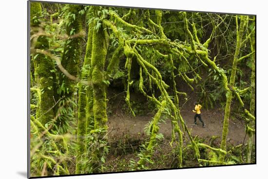 Trail Running On The Wildwood Trail In Forest Park. Portland, Oregon-Justin Bailie-Mounted Photographic Print