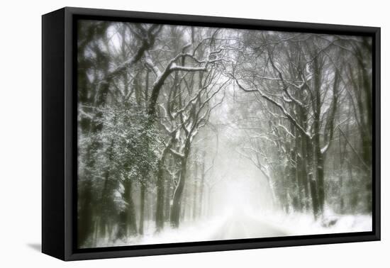 Trail Snow-Viviane Fedieu Daniel-Framed Premier Image Canvas