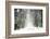 Trail Snow-Viviane Fedieu Daniel-Framed Photographic Print