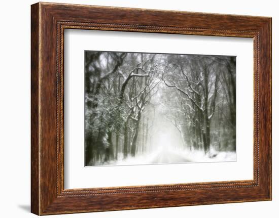 Trail Snow-Viviane Fedieu Daniel-Framed Photographic Print