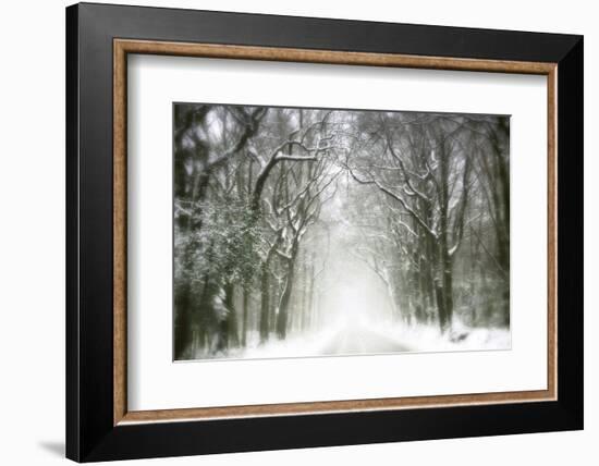 Trail Snow-Viviane Fedieu Daniel-Framed Photographic Print