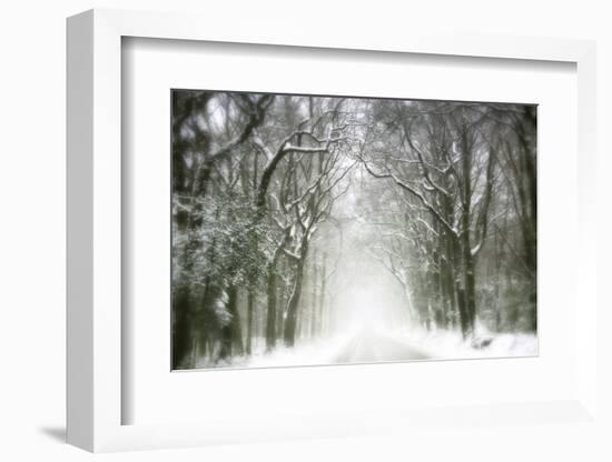 Trail Snow-Viviane Fedieu Daniel-Framed Photographic Print