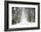 Trail Snow-Viviane Fedieu Daniel-Framed Photographic Print