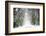 Trail Snow-Viviane Fedieu Daniel-Framed Photographic Print