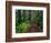 Trail Through Redwood Trees-Darrell Gulin-Framed Photographic Print