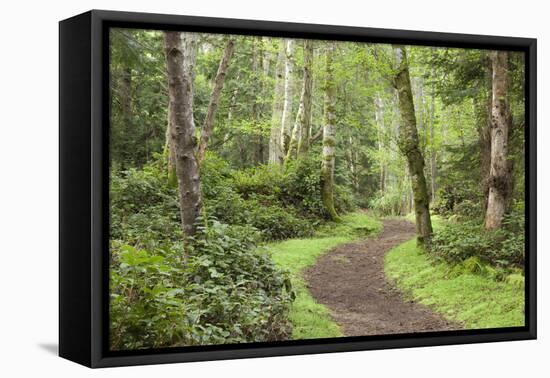 Trail Through Woods, Stuart Island, San Juan Islands, Washington, USA-Jaynes Gallery-Framed Premier Image Canvas