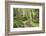 Trail Through Woods, Stuart Island, San Juan Islands, Washington, USA-Jaynes Gallery-Framed Photographic Print