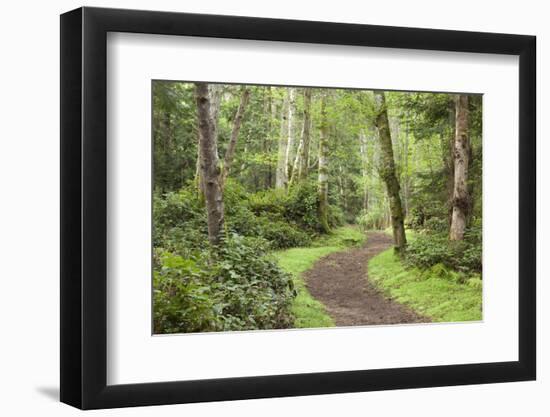 Trail Through Woods, Stuart Island, San Juan Islands, Washington, USA-Jaynes Gallery-Framed Photographic Print