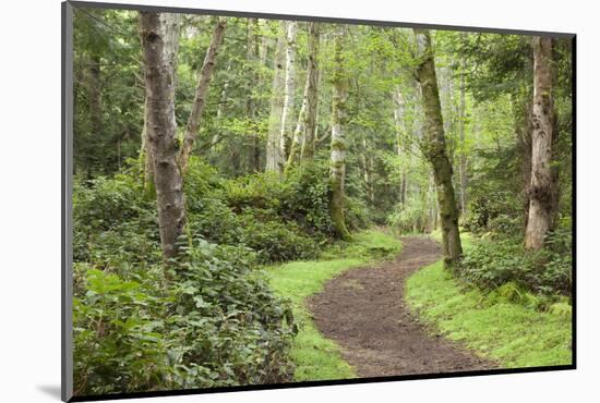 Trail Through Woods, Stuart Island, San Juan Islands, Washington, USA-Jaynes Gallery-Mounted Photographic Print