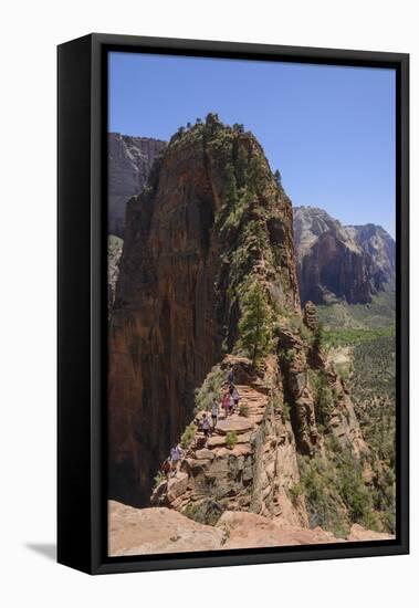 Trail to Angels Landing, Zion National Park, Utah, United States of America, North America-Gary Cook-Framed Premier Image Canvas