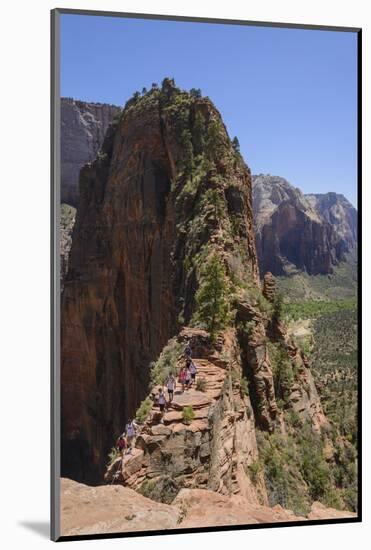 Trail to Angels Landing, Zion National Park, Utah, United States of America, North America-Gary Cook-Mounted Photographic Print