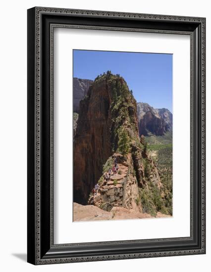 Trail to Angels Landing, Zion National Park, Utah, United States of America, North America-Gary Cook-Framed Photographic Print