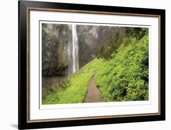 Trail To Comet Falls-Donald Paulson-Framed Giclee Print