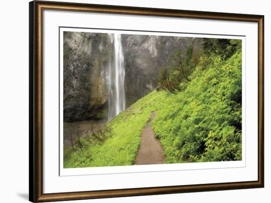 Trail To Comet Falls-Donald Paulson-Framed Giclee Print