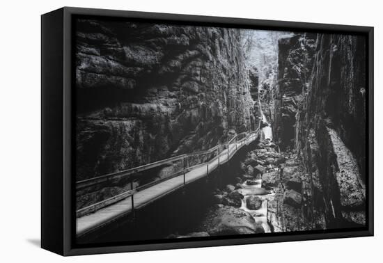 Trail to Flume Gorge, White Mountain New Hampshire-Vincent James-Framed Premier Image Canvas