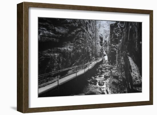 Trail to Flume Gorge, White Mountain New Hampshire-Vincent James-Framed Photographic Print