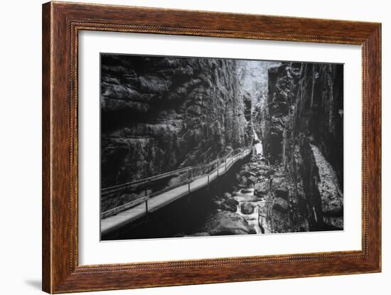 Trail to Flume Gorge, White Mountain New Hampshire-Vincent James-Framed Photographic Print