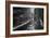 Trail to Flume Gorge, White Mountain New Hampshire-Vincent James-Framed Photographic Print