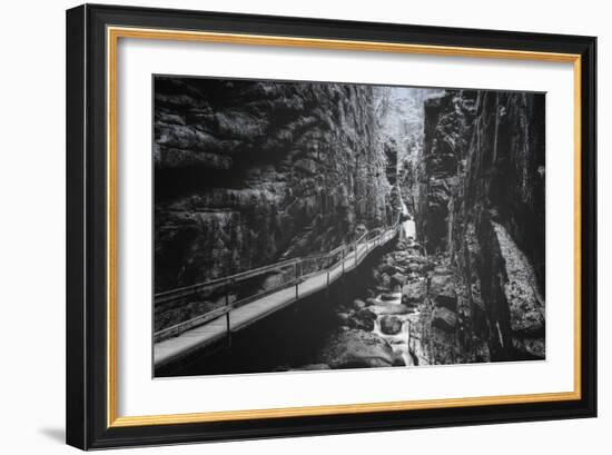 Trail to Flume Gorge, White Mountain New Hampshire-Vincent James-Framed Photographic Print