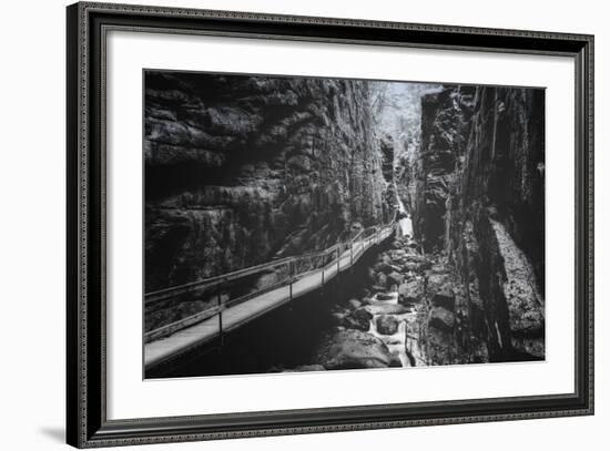 Trail to Flume Gorge, White Mountain New Hampshire-Vincent James-Framed Photographic Print