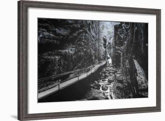 Trail to Flume Gorge, White Mountain New Hampshire-Vincent James-Framed Photographic Print