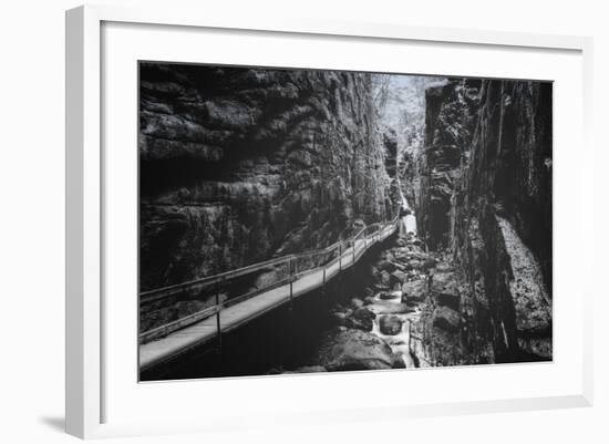 Trail to Flume Gorge, White Mountain New Hampshire-Vincent James-Framed Photographic Print