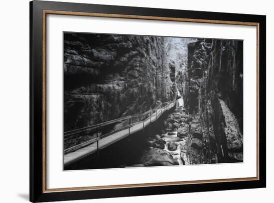 Trail to Flume Gorge, White Mountain New Hampshire-Vincent James-Framed Photographic Print