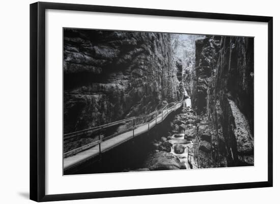 Trail to Flume Gorge, White Mountain New Hampshire-Vincent James-Framed Photographic Print