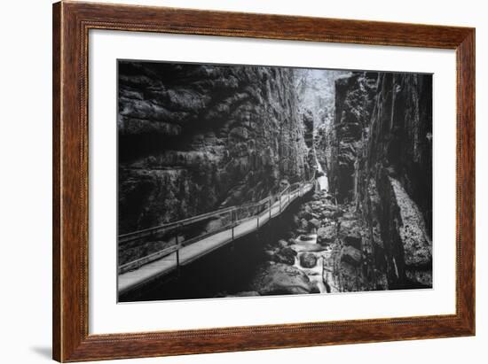 Trail to Flume Gorge, White Mountain New Hampshire-Vincent James-Framed Photographic Print