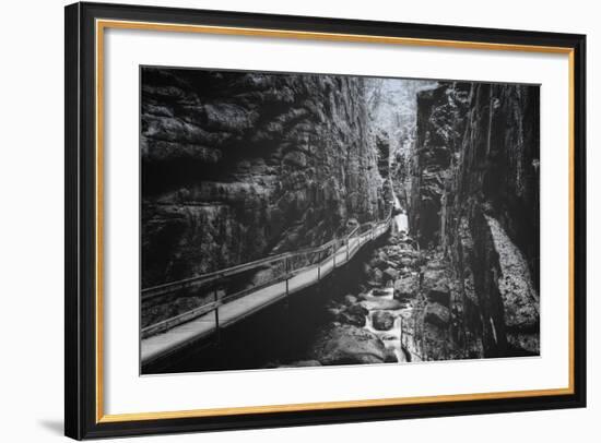 Trail to Flume Gorge, White Mountain New Hampshire-Vincent James-Framed Photographic Print