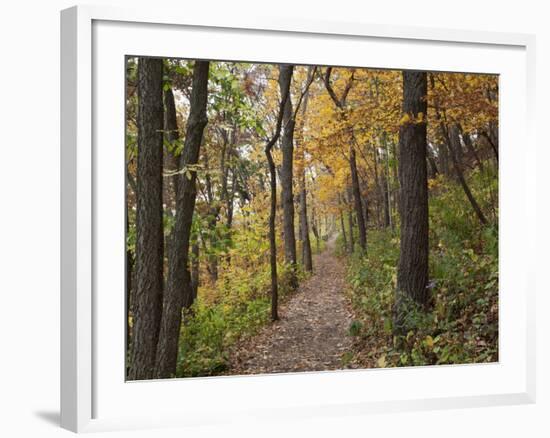 Trail to Great Bear and Little Bear Mound, Effigy Mounds National Monument, Iowa, USA-Jamie & Judy Wild-Framed Photographic Print