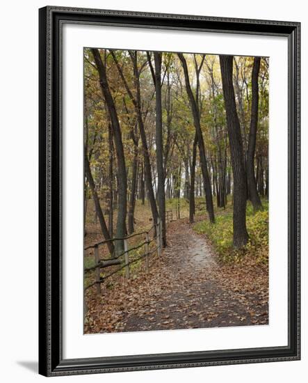 Trail to Great Bear and Little Bear Mound, Effigy Mounds National Monument, Iowa, USA-Jamie & Judy Wild-Framed Photographic Print