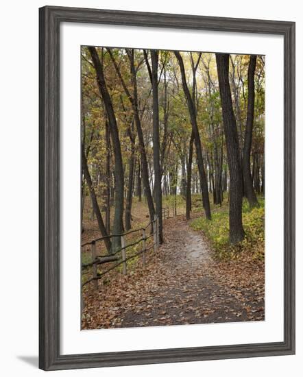 Trail to Great Bear and Little Bear Mound, Effigy Mounds National Monument, Iowa, USA-Jamie & Judy Wild-Framed Photographic Print