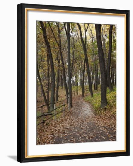 Trail to Great Bear and Little Bear Mound, Effigy Mounds National Monument, Iowa, USA-Jamie & Judy Wild-Framed Photographic Print