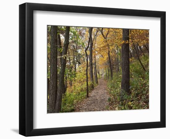 Trail to Great Bear and Little Bear Mound, Effigy Mounds National Monument, Iowa, USA-Jamie & Judy Wild-Framed Photographic Print