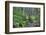 Trail to Sol Duc Falls, Rain Forest, Olympic National Park, UNESCO World Heritage Site, Washington-Richard Maschmeyer-Framed Photographic Print