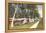 Trailer Campground, Florida-null-Framed Stretched Canvas