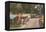 Trailer Park, Florida-null-Framed Stretched Canvas