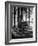 Trailer Park in Yellowstone National Park-Alfred Eisenstaedt-Framed Photographic Print